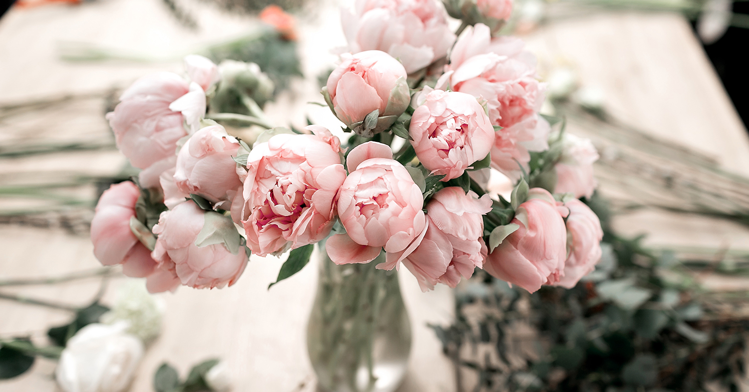pivoines