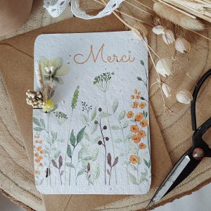 carte ensemencée merci