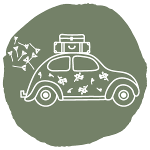 icon transport